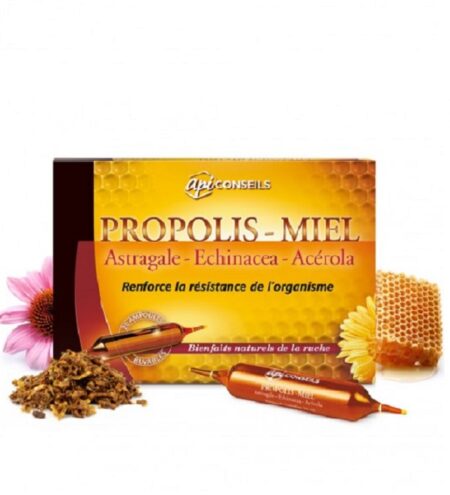 YVES PONROY API CONSEIL AMPOULES PROPOLIS – MIEL – ASTRAGALE – ECHINACÉE – ACÉROLA Boite de 20 Ampoules